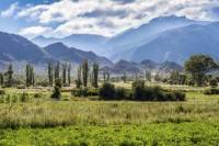 Salta Super Saver: Best of Calchaquí Valley Including Cachi and Cafayate Winery Day Trips