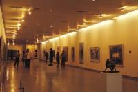 San José del Cabo Art Walk and Baja Brewing Company Night Tour