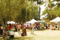 San Jose del Cabo Tour: City Sightseeing, Market and Estuary