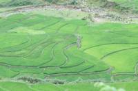 Sapa Combined Half-Day Trip To Ta Phin