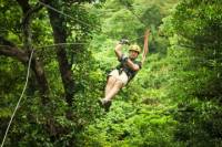 Sarapiqui River Sightseeing Cruise and Zipline Canopy Tour from San Jose