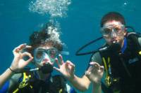 Scuba Diving in Ibiza: Certified or Beginner Course