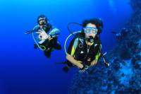 Scuba Diving or Snorkelling for Beginners in Side