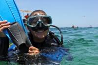 Scuba Review and Refresher Program in Cabo San Lucas