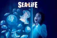 SEA LIFE Orlando Aquarium