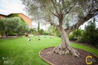 Seasonal Yoga Retreats