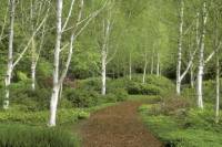 Seattle Shore Excursion: Bainbridge Island and Bloedel Reserve Small-Group Luxury Tour