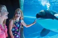 SeaWorld® Orlando Ticket