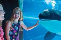 SeaWorld® San Diego