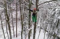 Seilpark Interlaken Winter Adventure