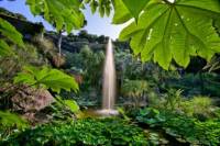 Semi-Independent Ischia Coach Tour with Visit to La Mortella Botanic Gardens from Sorrento