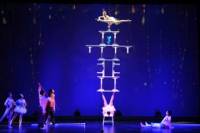 Shanghai Dinner and Acrobatics Show with VIP Seating