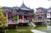 Shanghai Half Day Morning or Afternoon Sightseeing Tour