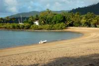 Shared Arrival Transfer: Proserpine Airport to Airlie Beach or Shute Harbour Hotels