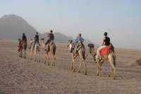 Sharm Mega Safari