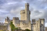 Shore Excursion: Cork Highlights and Blarney Castle Tour from Cork