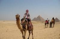 Shore Excursion: Pyramids and Sakkara with Lunch in the Desert from Alexandria Port