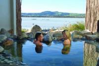Shore Excursion: Rotorua City Hop-On Hop-Off Tour from Tauranga