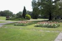 Sigurtà Park and Garden Tour from Milan with Tortellini Workshop, Wine Tasting and Lunch