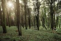 Sintra Private Cycling Tour