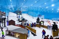 Ski Dubai Snow Park Pass with Optional Super Pass Upgrade