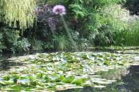 Skip the Line Giverny Small Group Roundtrip Transfer and Skip the Line Entrance Ticket from Paris