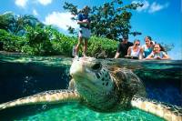 Skip the Line: Palma Aquarium on Mallorca