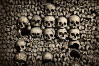 Skip the Line Paris Catacombs Guided tour