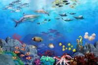 Skip the Line: SEA LIFE Sydney Aquarium Entrance Ticket