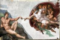 Skip the Line: Vatican Museum and St Peter Basilica - Half Day Tour