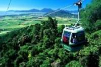 Skyrail Rainforest Cableway Day Trip from Palm Cove