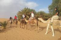 Small-Group 2-Night Desert Tour from Marrakech