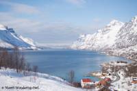 Small-Group Arctic Landscapes Sightseeing Tour