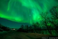 Small-Group Aurora Hunting Northern Lights Tour from Tromso