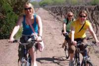 Small-Group Bike Tour in Mendoza Wine Country