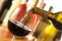 Small-Group Cava and Wine Day Trip from Barcelona