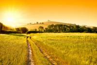 Small-Group Chianti and San Gimignano Sunset Trip from Siena