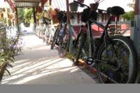 Small-Group Cycling Tour from Ho Chi Ming City