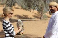 Small-Group Dubai Interactive Falconry Experience and Wildlife Drive with Optional Breakfast