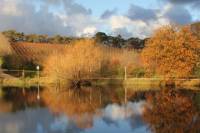 Small-Group Fleurieu Peninsula Food and Wine Experience by 4WD