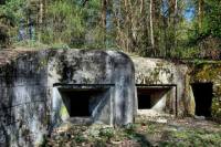 Small-Group Hong Kong Walking Tour: WW2 Battlefield Trail