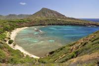 Small-Group Oahu Eco-Tour Including Waimea Valley Hike and Turtle Beach