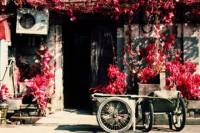 Small-Group Shanghai Hidden Sites Walking Tour