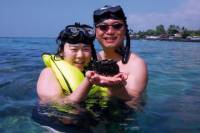 Small-Group Snorkeling Adventure from Kona