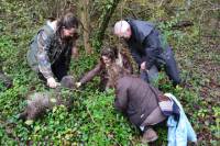 Small-Group Truffle Hunting and Wine Experience from Florence with Lunch