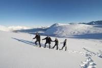 Small-Group Walking Tour from Tromsø