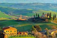 Small-Group Wine Tasting Experience in the Tuscan Countryside