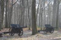 Small-Group WWI Day Trip from Paris: Aisne-Marne Battlefields, Belleau Wood and Museum of the Great War