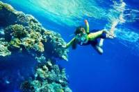 Snorkel and Kayak Adventure in Antigua
