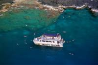 Snorkel Dolphin Adventure aboard Luxury Catamaran